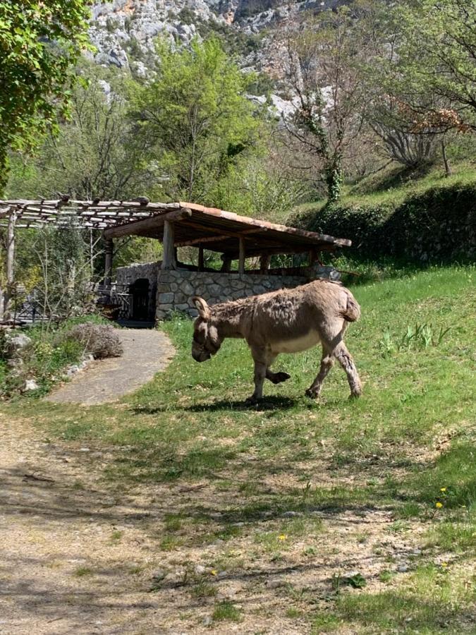 Mymoustiers Villa Luaran gambar